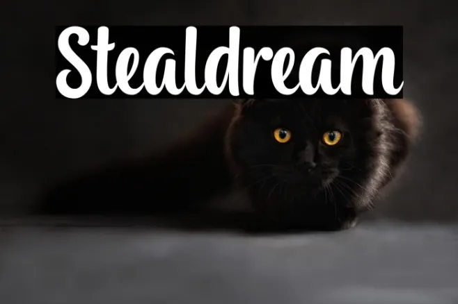 Stealdream Example 1