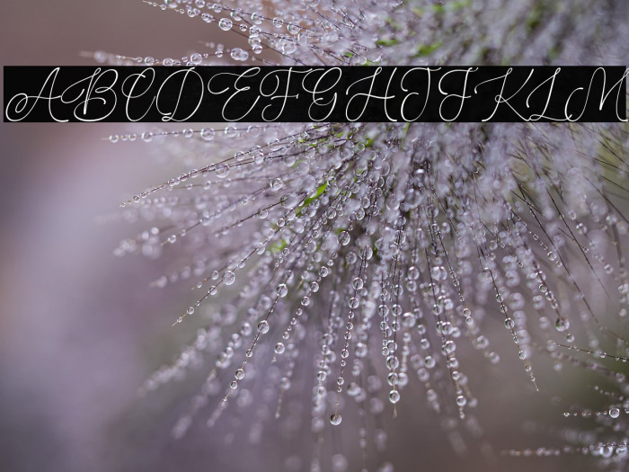 Stealing Hearts Personal Use Example 2