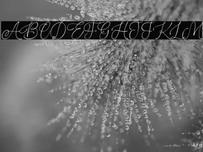 Stealing Hearts Personal Use Font examples