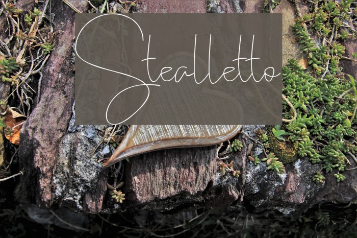 Stealletto Font examples