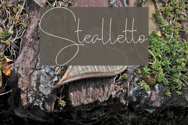 Stealletto Example 3