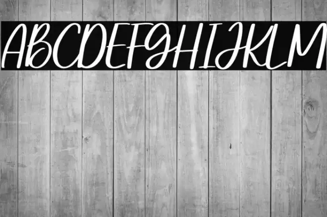 Steally Grace Demo Font examples