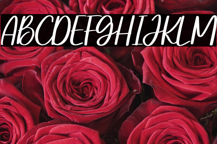 Steally Grace Demo Example 2