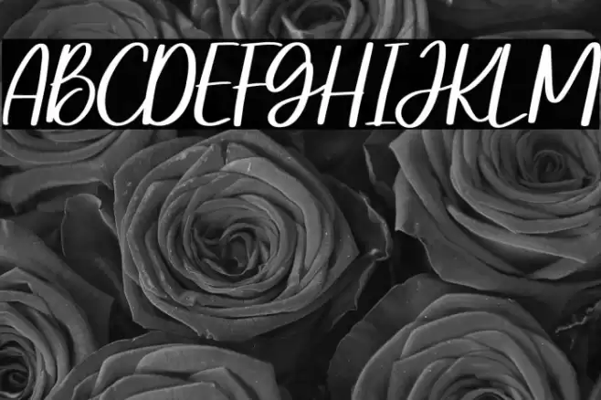 Steally Grace Demo Font examples