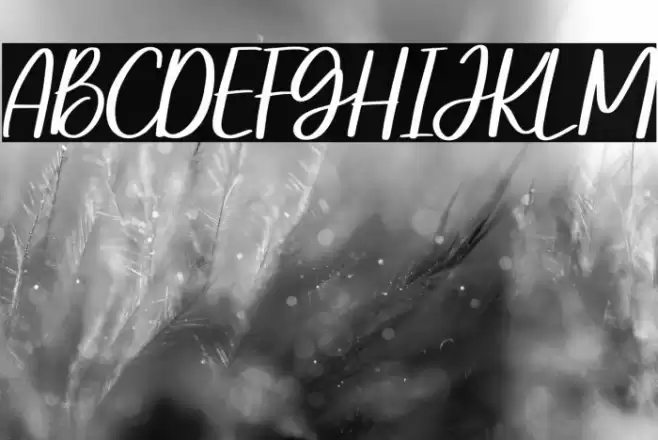 Steally Grace Demo Font examples