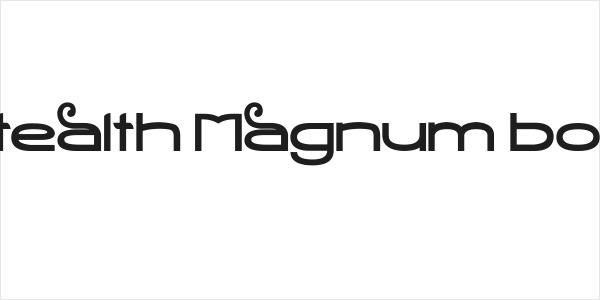 Stealth Magnum Bold Logo