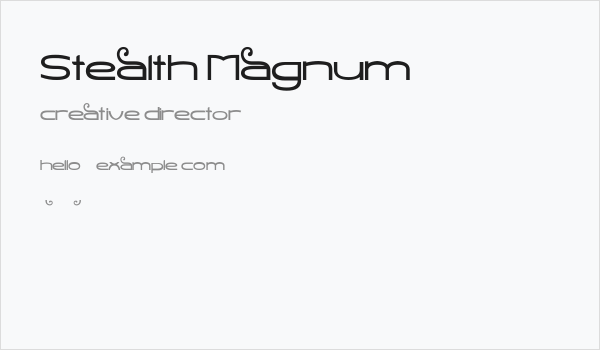 Stealth Magnum Business Card