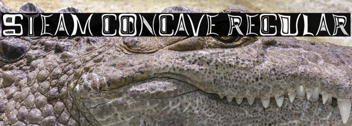 Steam Concave Regular Example 1