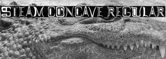 Steam Concave Regular Font examples