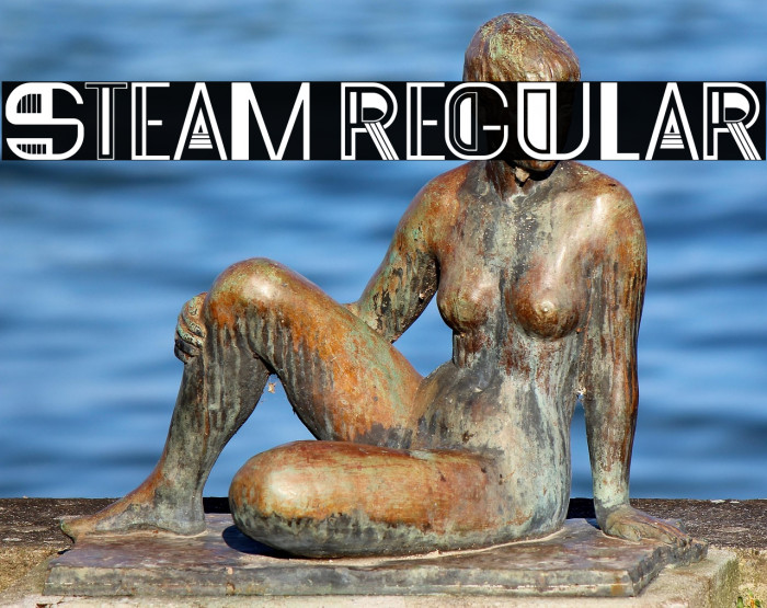 Steam Regular Example 1