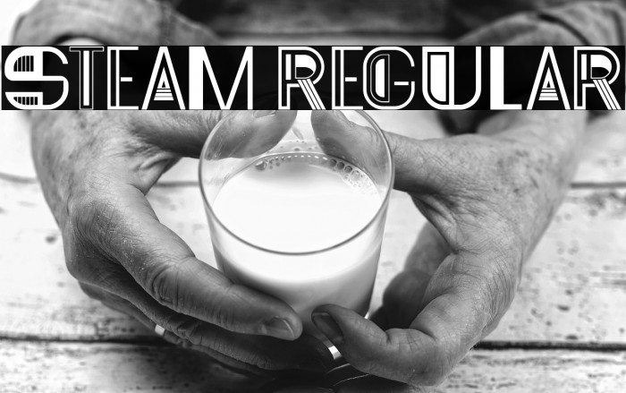 Steam Regular Example 2