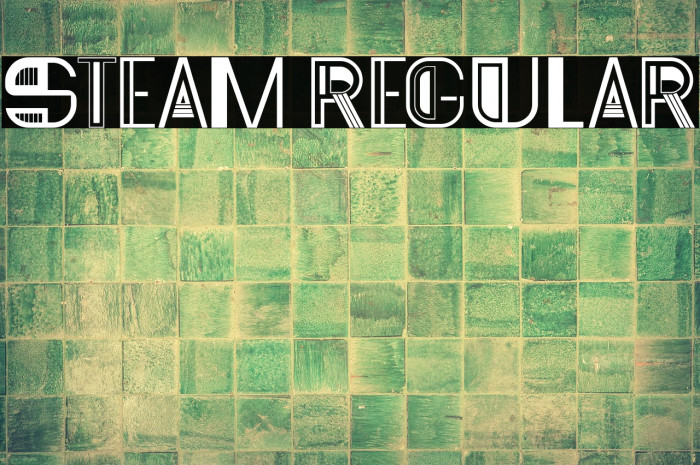 Steam Regular Example 3