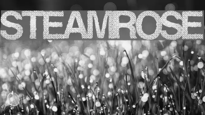 SteamRose Шрифта examples