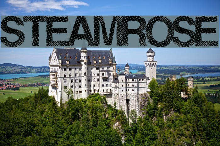 SteamRose Font examples