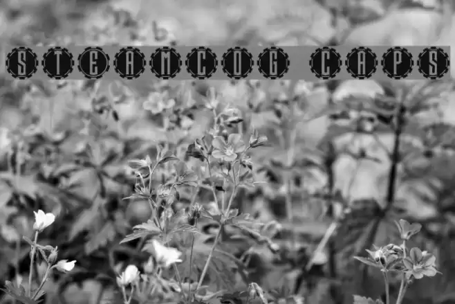 Steamcog Caps Font examples