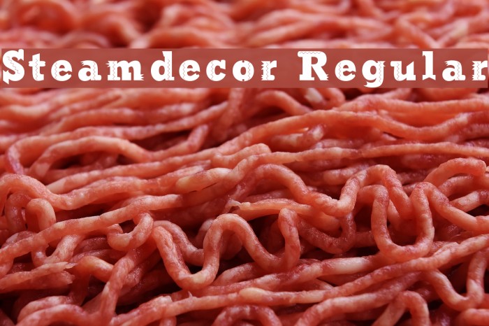 Steamdecor Regular Example 3