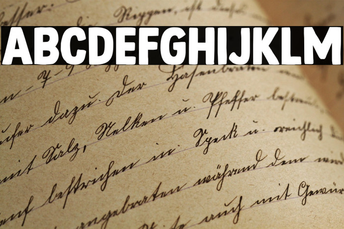 Steamed DEMO Regular Example 2