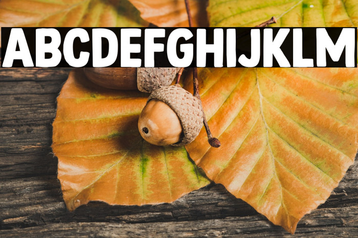 Steamed DEMO Regular Example 3