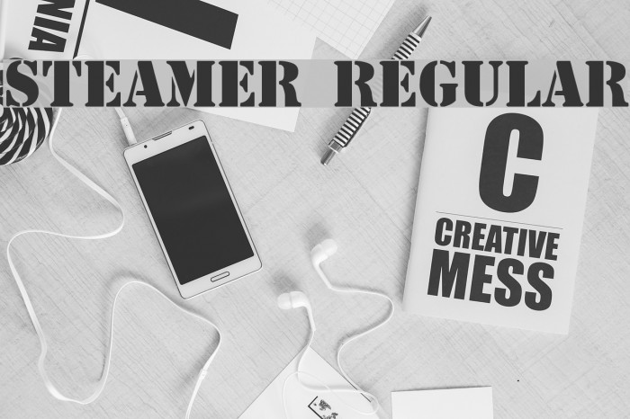 Steamer Regular Font examples