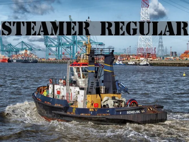 Steamer Regular Example 2
