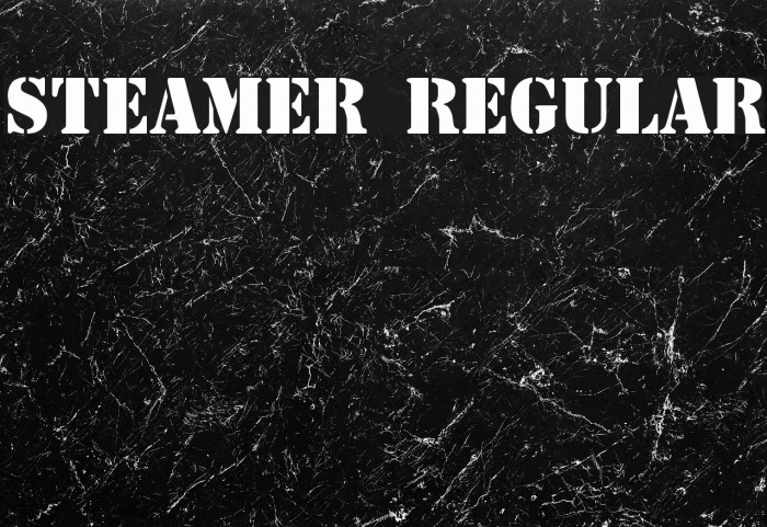 Steamer Regular Font examples