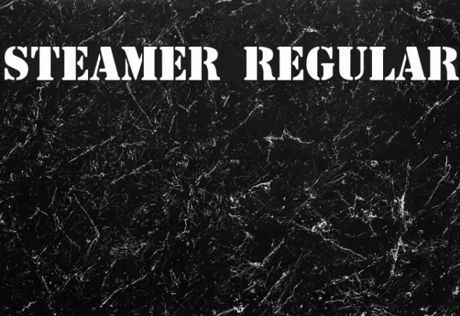 Steamer Regular Example 3