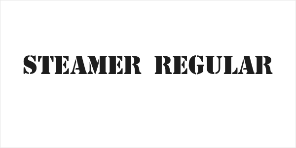 Steamer Regular Logo