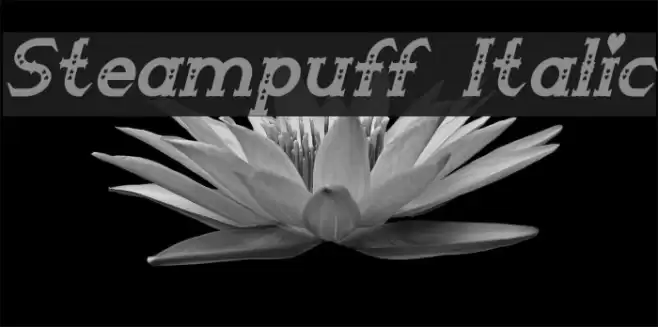 Steampuff Italic Font examples