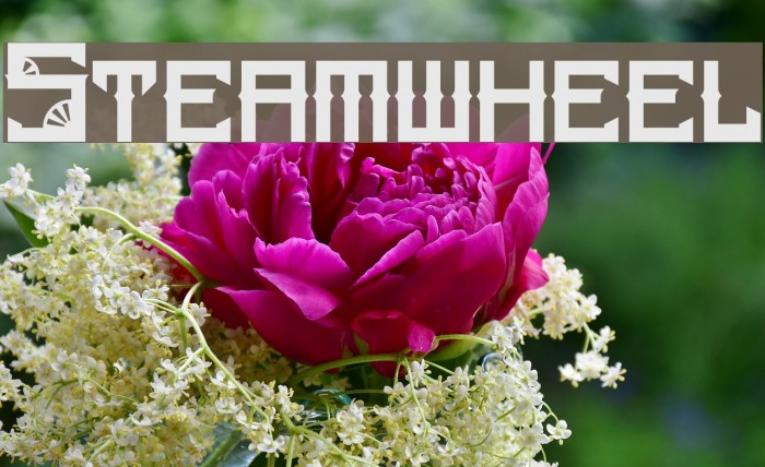 Steamwheel Font examples