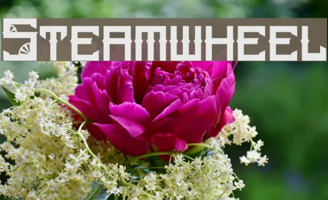 Steamwheel Example 3