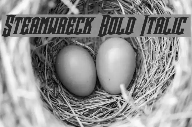 Steamwreck Bold Italic Font examples