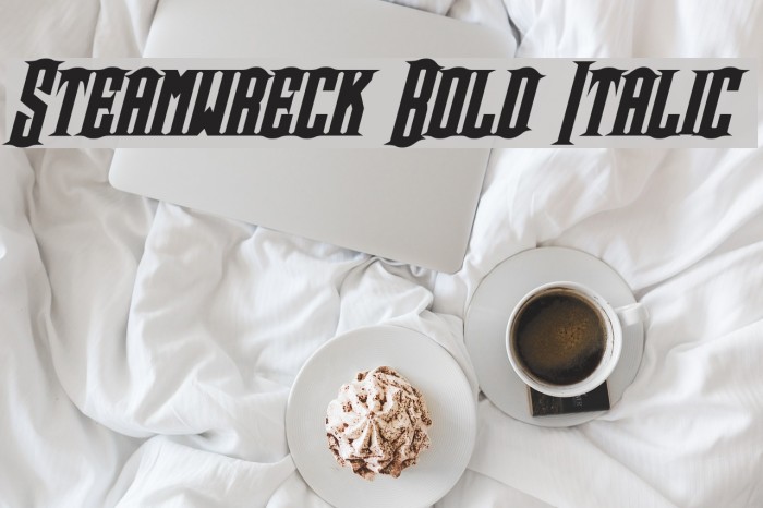 Steamwreck Bold Italic फ़ॉन्ट examples