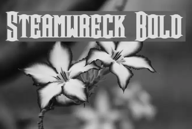 Steamwreck Bold Font examples