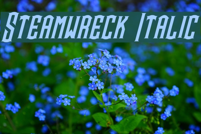 Steamwreck Italic Font examples
