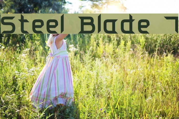 Steel Blade 7 Font examples