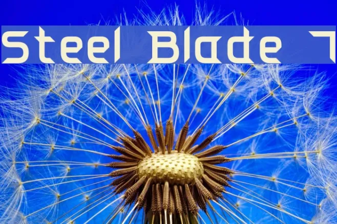 Steel Blade 7 Example 3