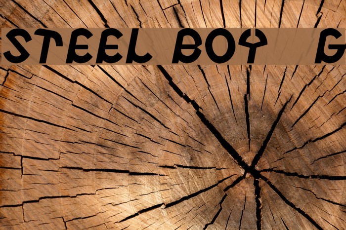 Steel Boy__G Font examples