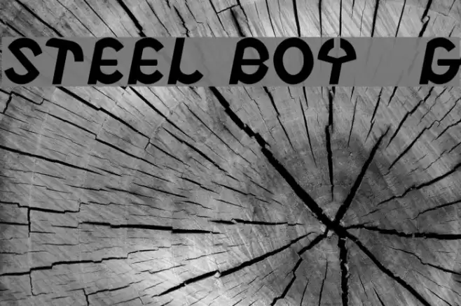 Steel Boy__G フォント examples