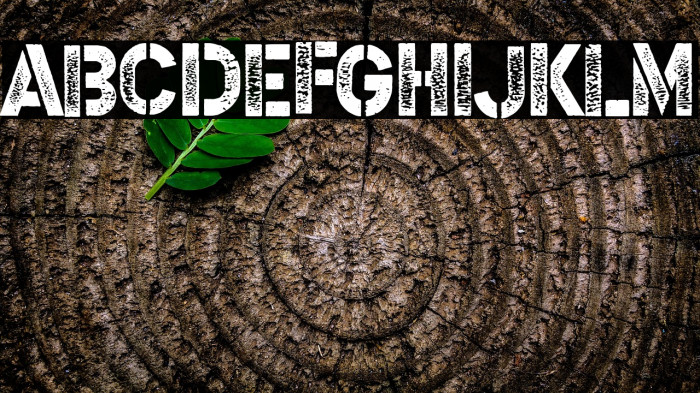 Steel Soldier Example 1