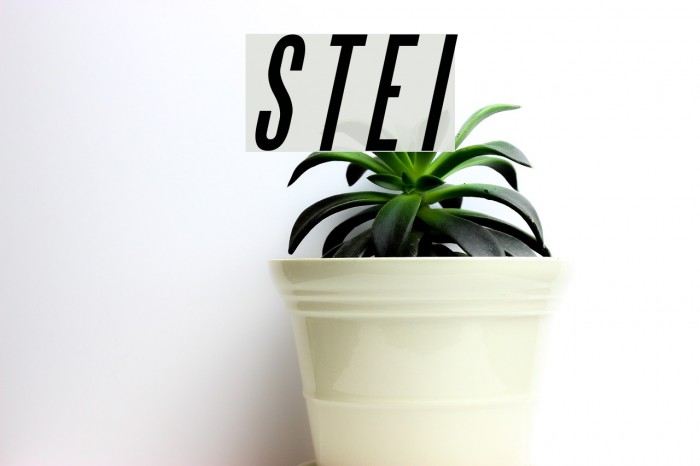 Steel Tongs Esp Italic Font examples