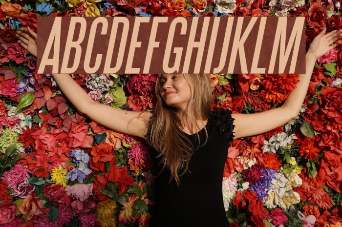 SteelTongs Italic Font examples