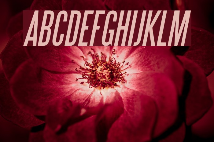 SteelTongs Italic Font examples