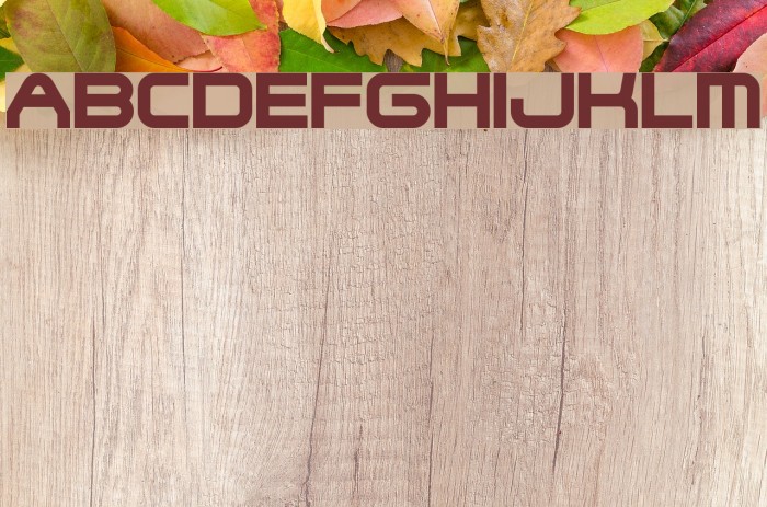 SteelWolf Medium Font examples