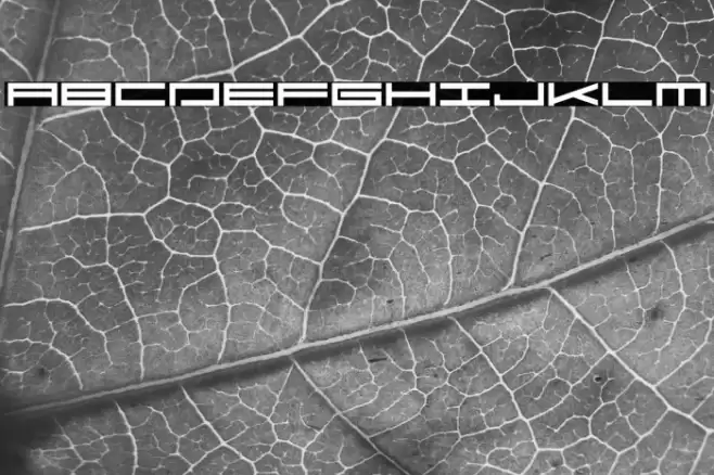 Steelbase Font examples