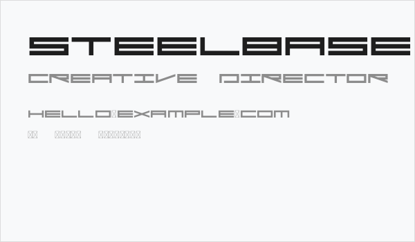 Steelbase Business Card