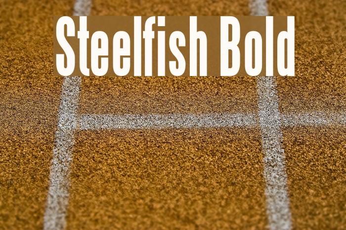 Steelfish Bold Font examples