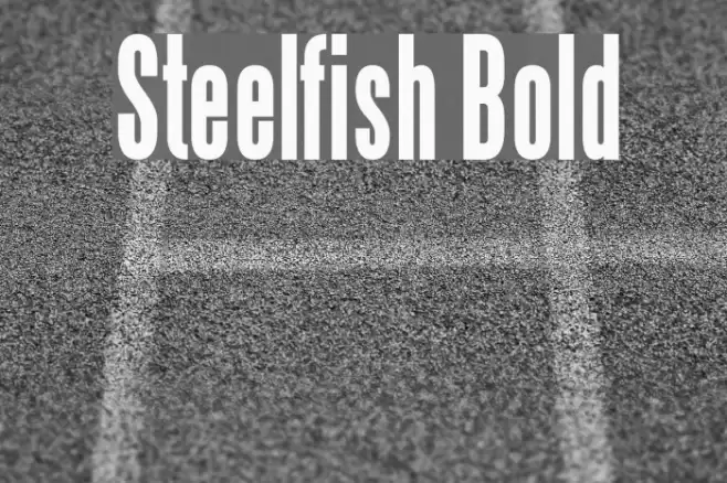 Steelfish Bold Schriftart examples
