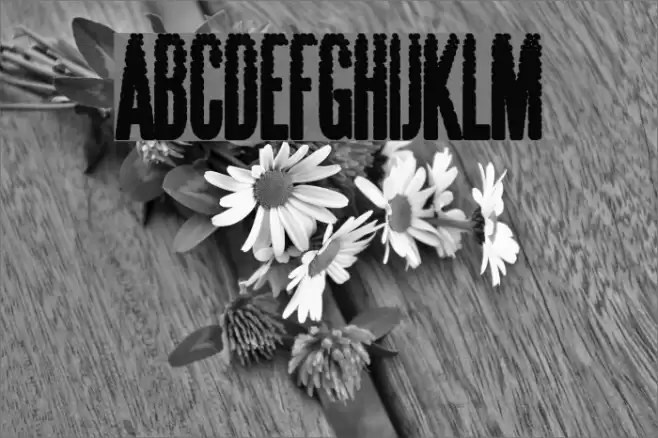 Steelfish Dots Font examples