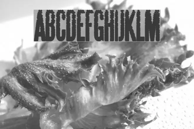 Steelfish Dots Font examples