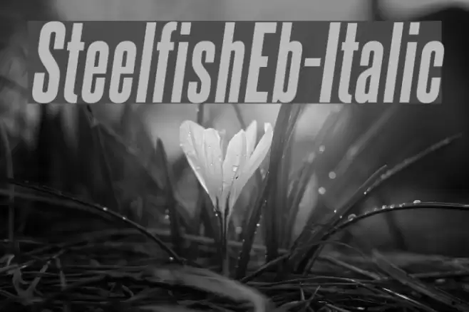 SteelfishEb-Italic Polices examples